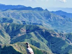 -苏木山森林公园