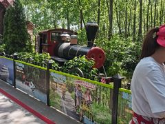 -合肥滨湖国家森林公园