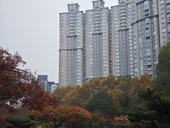 -中山公园