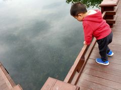 -成飞公园
