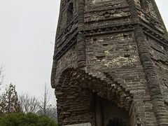 -上海佘山国家森林公园天马山园