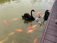 -森波拉奇妙世界