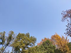 -老娘舅餐厅(黄龙体育中心店)