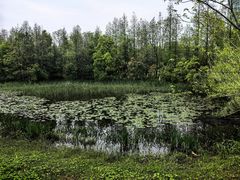 -艾溪湖湿地公园