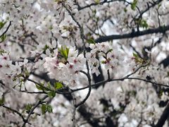 -同济大学本部学苑饮食广场