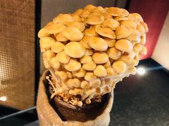 活体金针菇-麻路成都火锅(柏威年店)