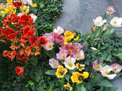 周围花圃-红宝石·鲜奶小方·海派西点房(联洋店)