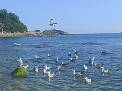 -银沙滩浴场