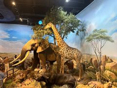 -陕西自然博物馆