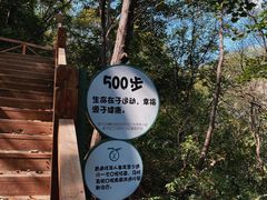 -大岭沟猕猴桃谷风景区