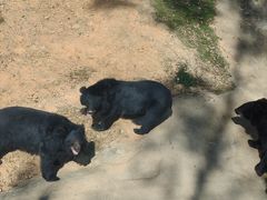 -泉州海丝野生动物世界