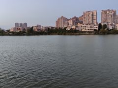 -金银湖国家城市湿地公园