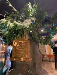 -点点梦想城(鑫苑都汇店)