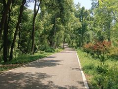 -青龙山国家森林公园