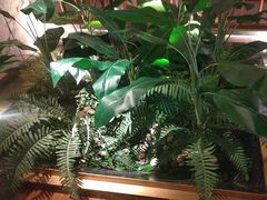 -浅深(北京北四环精品店)