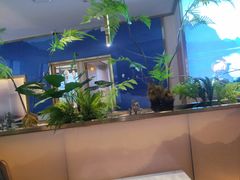 -马家斑.鲜鱼火锅(松湖万科店)