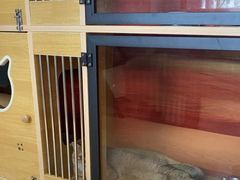 -御宝贝·A梦猫科宠物医院(国际猫友好医院)