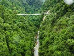 -九龙江国家森林公园