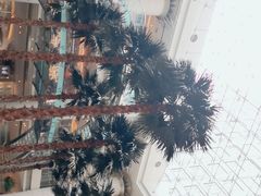 -威斯汀舞台餐厅