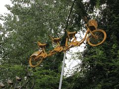 -合肥滨湖国家森林公园