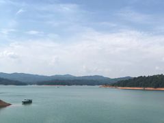 -广州市流溪河国家森林公园