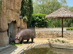 -沈阳森林动物园