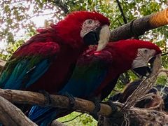 -北京野生动物园