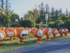 -上海长兴岛郊野公园