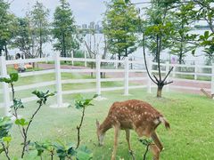 -金鸡湖桃花岛
