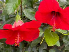 -国家植物园南园