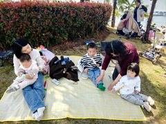 -九龙湖公园