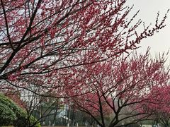 -杭州城北体育公园