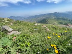 -灵山