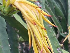 -尚果生态采摘园