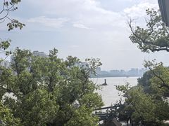 -江心屿景区