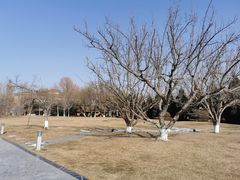 -春晖园度假酒店温泉