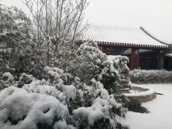 -北京市东城区妇幼保健院(北院区)
