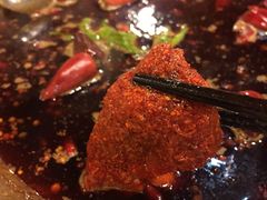 -杨家火锅(国美店)