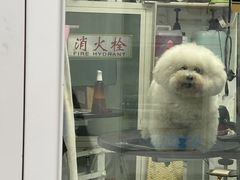 -达爱动物医院·犬猫分区·CT·复杂眼科(远洋山水分院)