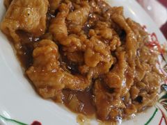 苏扬大烤-老苏扬饭店