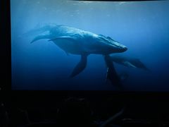 -CGV影城(东港IMAX店)