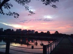 iphone_upload_pic-白塘生态植物园