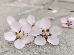 -国家植物园