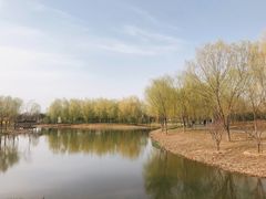-东郊湿地公园