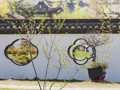 -盆景园(扬州大运河文化旅游度假区)