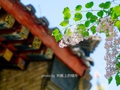 -北京大观园