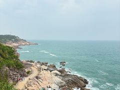 -广东惠东海龟国家级自然保护区
