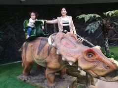 -陕西自然博物馆