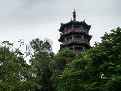 -红花山公园