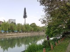 -成都市活水公园